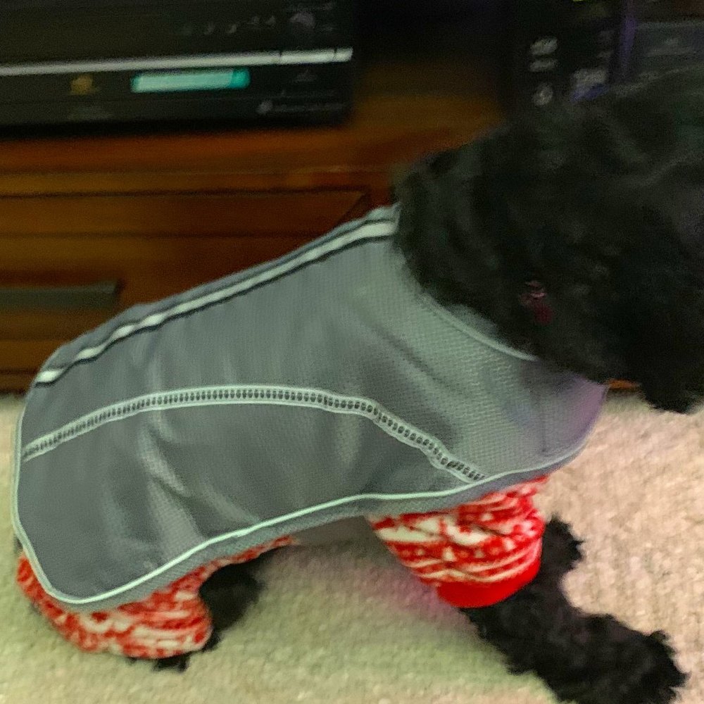 Reflective Jacket for Dogs